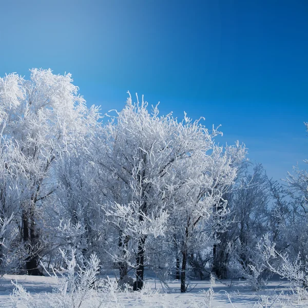 Parque de Inverno na neve. bela paisagem de inverno com estrada e sn — Fotografia de Stock