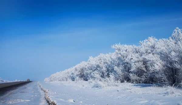 Winterpark im Schnee. schöne Winterlandschaft mit Straße und sn — Stockfoto