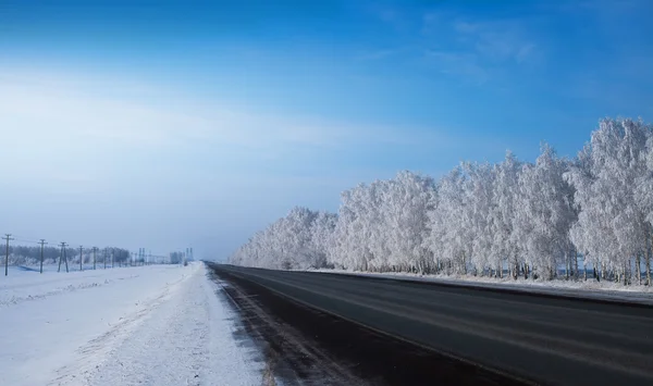 Зимний парк в снегу. красивый зимний пейзаж с дорогой и sn — стоковое фото