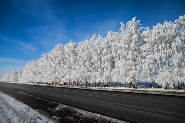 Parque de Inverno na neve. bela paisagem de inverno com estrada e sn — Fotografia de Stock