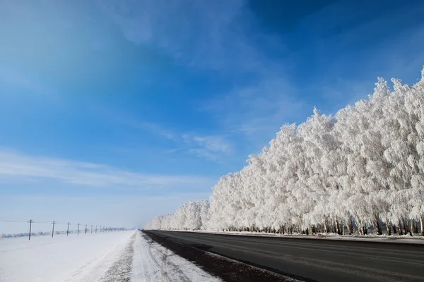 Parque de Inverno na neve. bela paisagem de inverno com estrada e sn — Fotografia de Stock