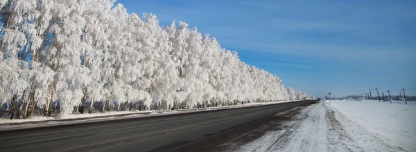 Talvipuisto lumessa. kaunis talvi maisema tie ja sn — kuvapankkivalokuva