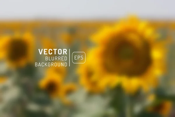 Помаранчевий соняшник з весняним фоном. Векторні ілюстрації . — стоковий вектор