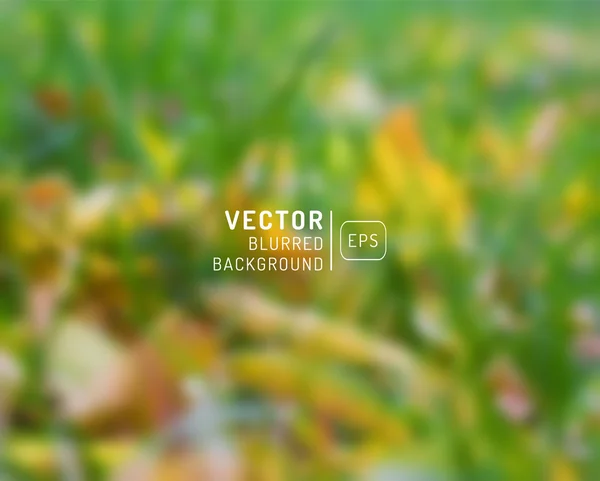 Vektor homályos őszi levelek. Őszi céltalan háttér, web egy — Stock Vector