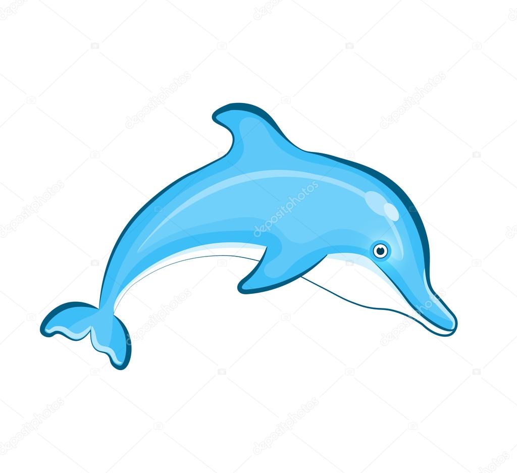 Swimming Dolphin isolated on background
