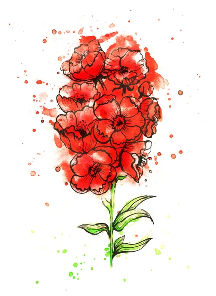 Rode bloem. Poppy. Aquarel florale decoratie. Bloemen boeket. — Stockvector