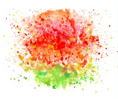 güzel bir kırmızı çiçek,