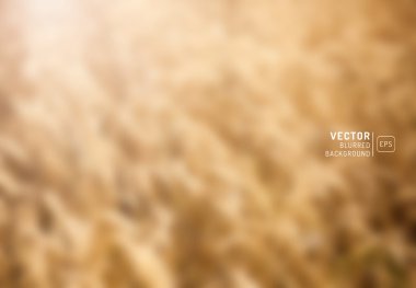 Tasarım öğeleri. bulanık bir arka plan üzerinde