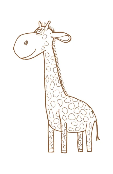 Mooie volwassen Giraffe kijkt naar ons — Stockvector