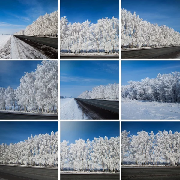 Parque de invierno en la nieve. hermoso paisaje de invierno con carretera y sn —  Fotos de Stock