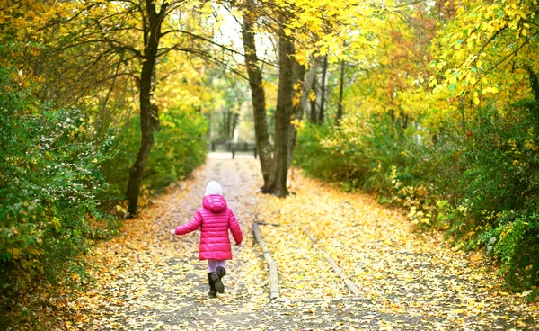 Klein meisje spelen met Herfstbladeren — Stockfoto