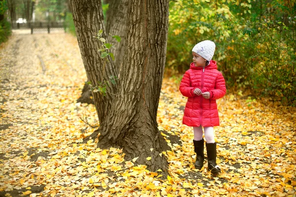 Sonbahar yaprakları ile oynarken küçük kız — Stok fotoğraf