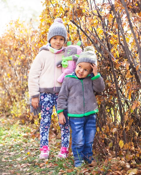 Děti si hrají s podzimním listím v parku — Stock fotografie