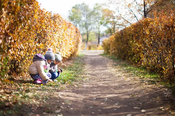 Crianças brincando com outono caído folhas no parque — Fotografia de Stock