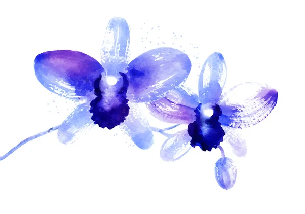 Branch of blue watercolor orchids — Stock Vector