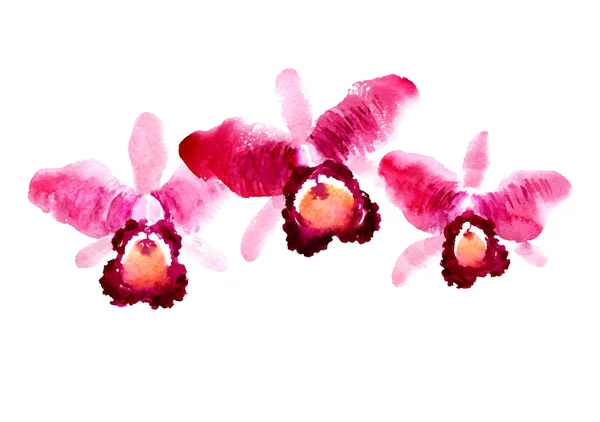 Zweig roter Aquarell-Orchideen — Stockvektor