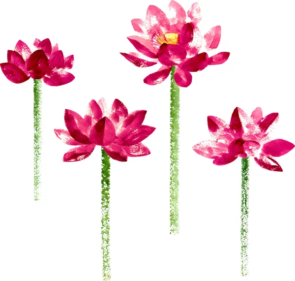 Vektör ile kırmızı sulu boya lotus ayarla — Stok Vektör