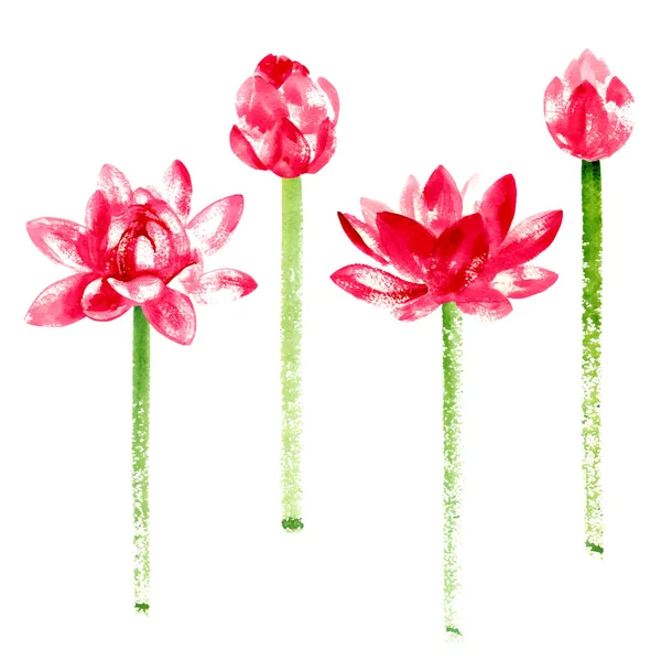 Ensemble vectoriel avec lotus aquarelle rouge — Image vectorielle