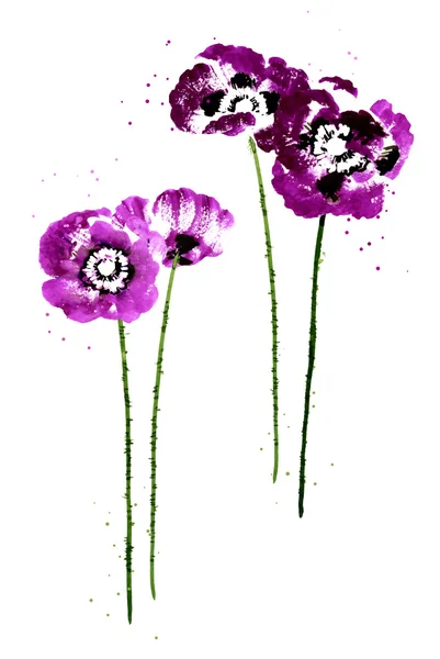 Collection de fleurs de pavot aquarelle — Image vectorielle