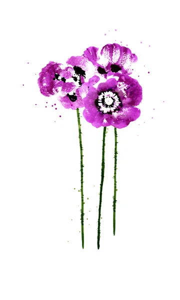 Coleção de flores de papoula aquarela — Vetor de Stock