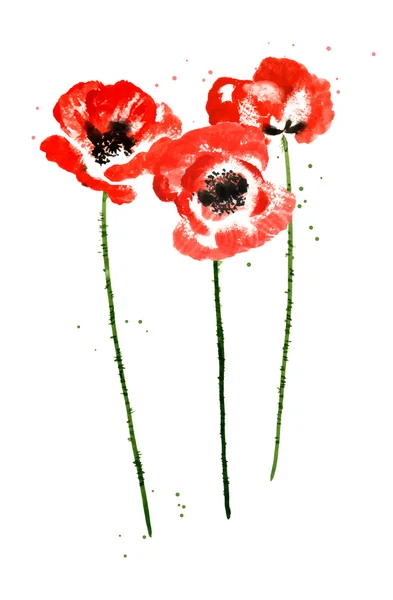 Colección de flores de amapola acuarela — Archivo Imágenes Vectoriales