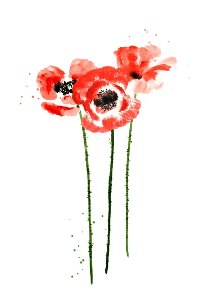 Collectie van aquarel poppy bloemen — Stockvector