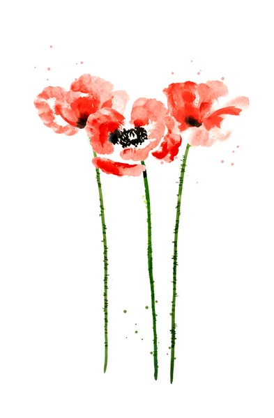 Akvarell pipacs virágok gyűjteménye — Stock Vector