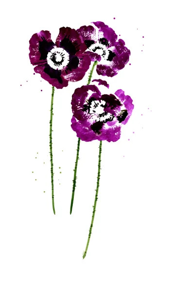 Collection de fleurs de pavot aquarelle — Image vectorielle