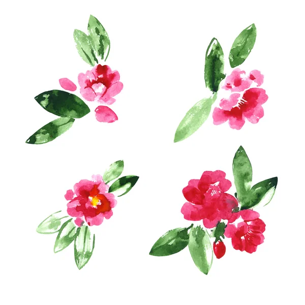 Akvarell camellia virág gyűjteménye — Stock Vector