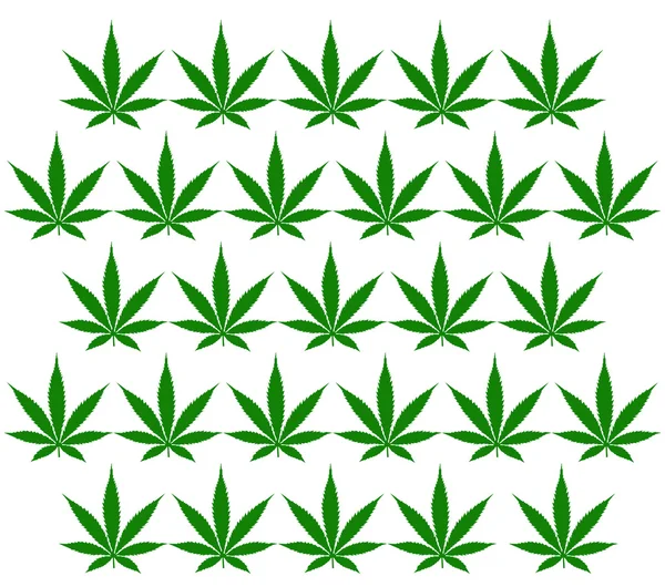 Patrón de hoja de marihuana Imagen de archivo