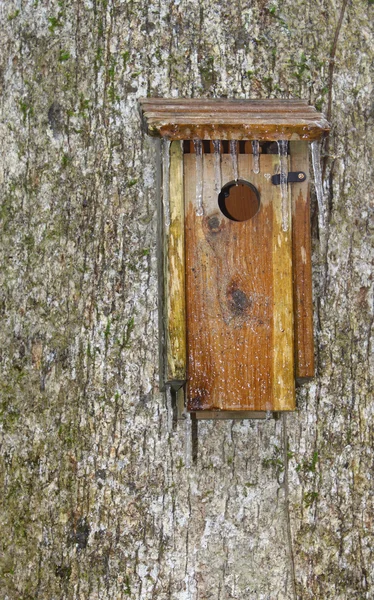 Birdhouse en bois — Photo