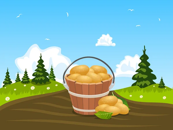 Cubo de madera lleno de papas cosechadas — Vector de stock