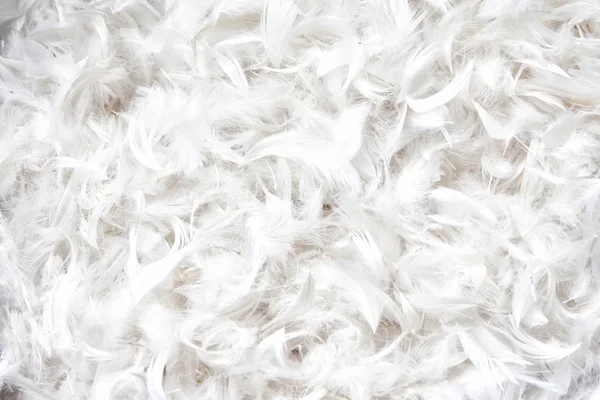 Soft, weightless, gentle bird plumage texture for pillow — Stock Photo, Image