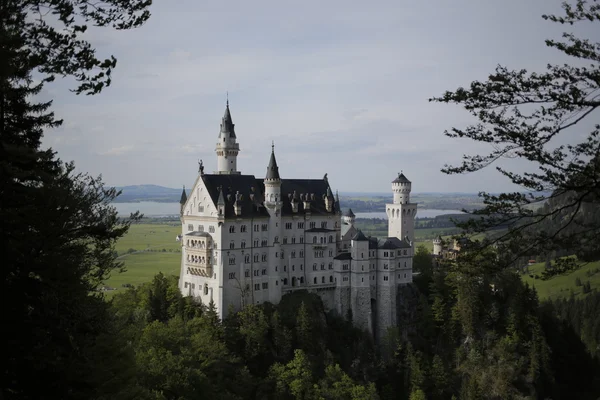 Neuschwanstein Şatosu akşam ışık