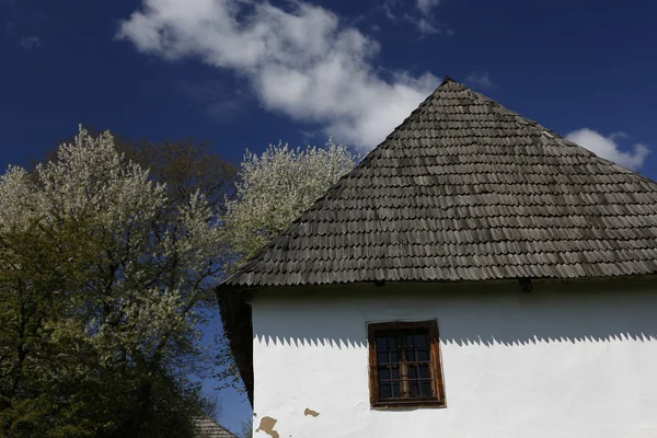 Güzel Ukraynalı ev