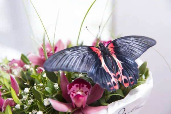 Buket üzerinde kelebek