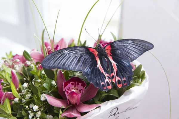 Butterfly on the bouquet — Stock Photo, Image