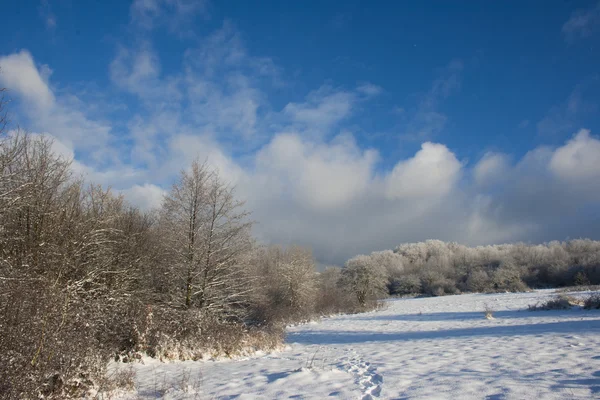 Kış manzara güneşli hava