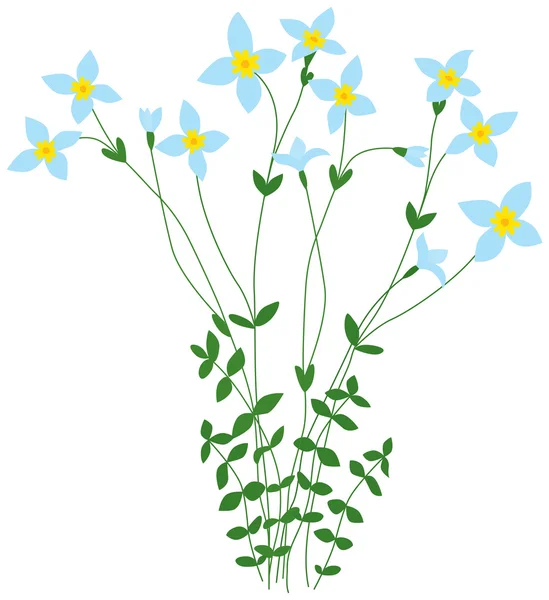 Illustrerade ljus blå blommor — Stock vektor