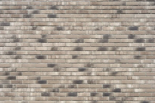 装飾的なレンガの壁の詳細 Alliphonewallpapers Net — ストック写真