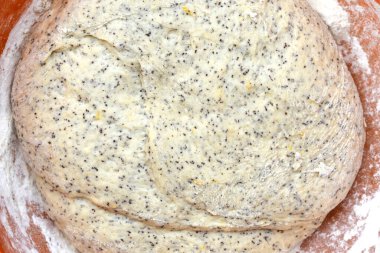 Ham maya hamuru, haşhaş tohumu ve limon tadı.