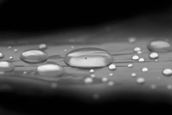 Gotas Água Superfície Escura Fundo Abstrato — Fotografia de Stock
