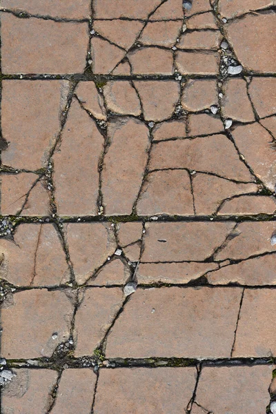 Detail Cracked Orange Floor Tiles — Stock Photo, Image