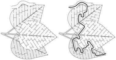 Siyah beyaz çözümü olan çocuklar için tırtıl labirenti