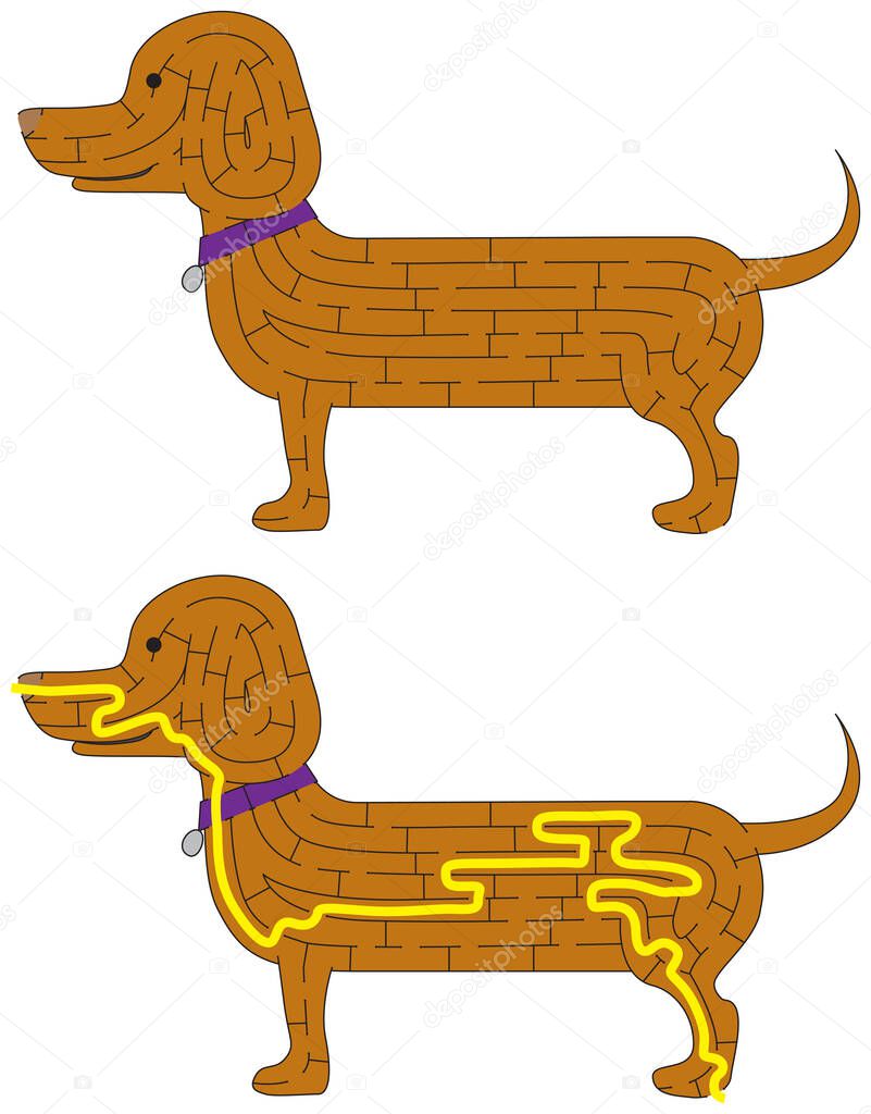 Dachshund maze for kids with a solution