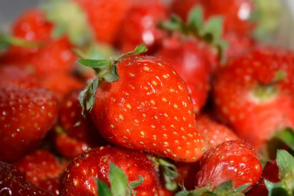 Taze çilek yığınını kapat.