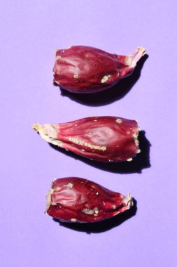 Leylak armut armut armudu.