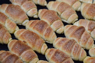 Fırın tepsisi dolusu taze kruvasan.