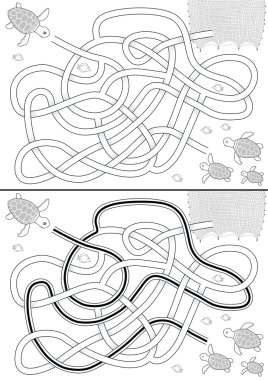 deniz kaplumbağası labirent