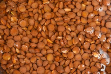 A full-frame close-up shows a densely packed texture of brown lentils completely submerged and soaking in water